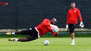 Farnolle Yoğun Tempoda