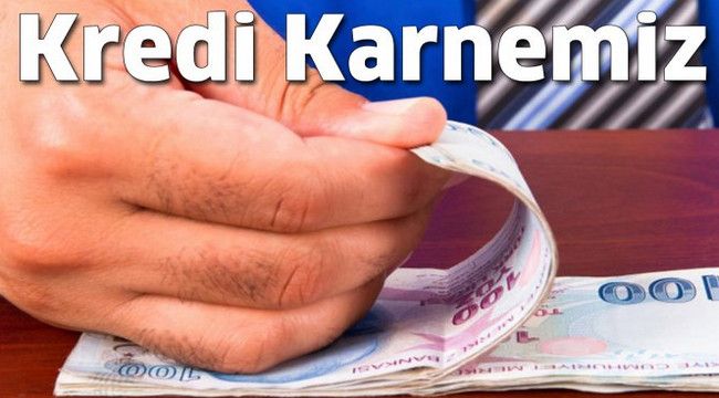 İşte Erzurum'un kredi karnesi