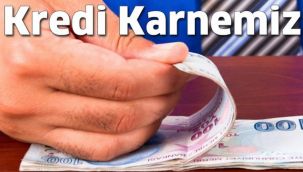 İşte Erzurum'un kredi karnesi