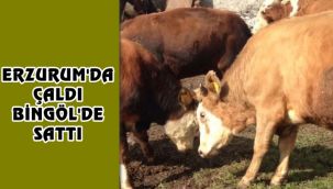 Şüpheli, Erzurum'a dönünce yakalandı