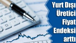 ÜFE yıllık yüzde 30,23, aylık yüzde 7,46