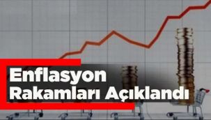 En yüksek azalış yüzde 0,07 ile eğitim 