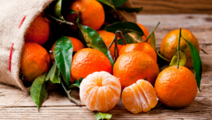 Mandalinada rekor rekolte