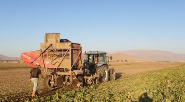 Erzurum, Erzincan ve Ağrı'da sulama sezonu tamam 