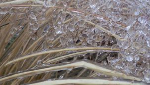 Buzlanma ve don uyarısı