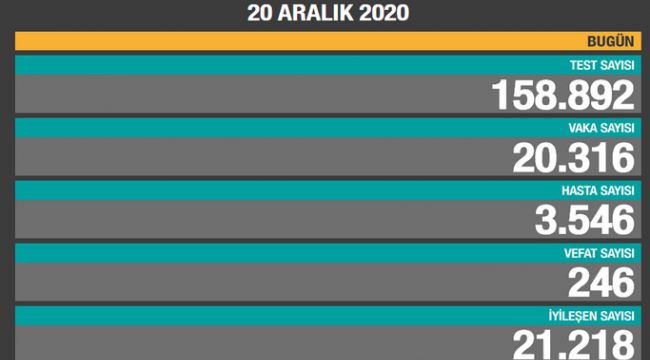 Vefat sayısı 246