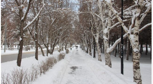 Erzurum'a Mart Karı