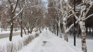 Erzurum'a Mart Karı