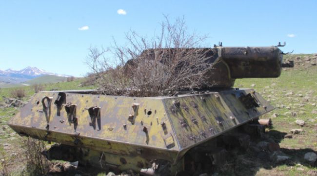 Dağ eteğindeki 70 yıllık tanklara doğa sahip çıkıyor