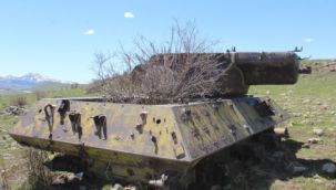 Dağ eteğindeki 70 yıllık tanklara doğa sahip çıkıyor