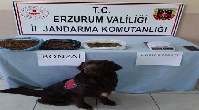 Erzurum'da uyuşturucu operasyonu: 3 tutuklama