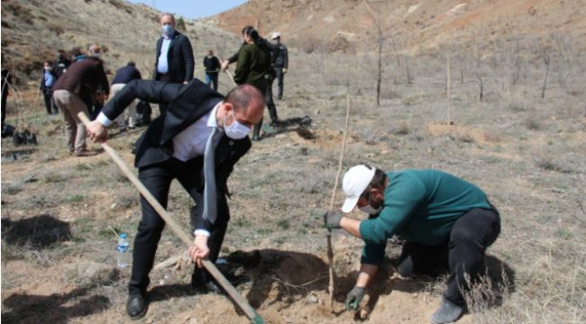 Yüksek okulda sevdikleri meyvelerin fidanlarını diktiler