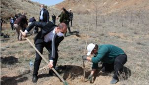Yüksek okulda sevdikleri meyvelerin fidanlarını diktiler