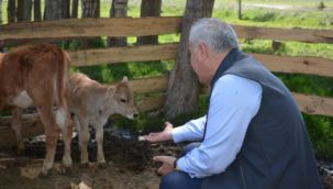 Aşkale'de zirai don tespiti
