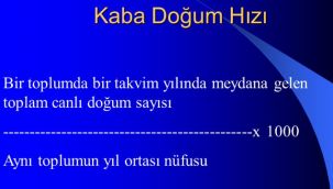 Erzurum'da doğum hızı 15.8