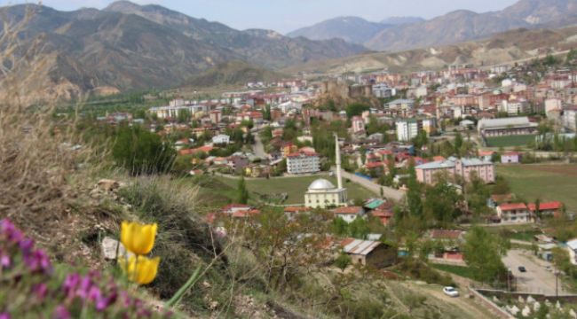 Oltu'da laleler açmaya başladı