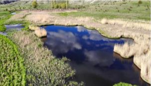 Tortum'daki 'Yüzen Adalar' ziyaretçilerini bekliyor