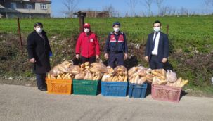 Türk Kızılayı Ramazan ayında da seferber oldu