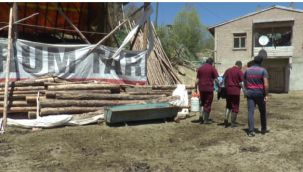 Veteriner hekimler suni tohumlama için seferber oldu