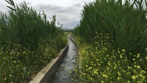 DAP'tan, 2021 yılında, 211 projeye 84 milyon lira destek