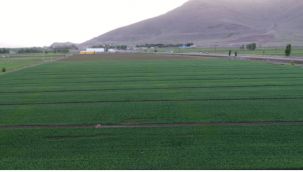 Erzurum'da modern sulama