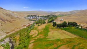 Erzurum'da "Sahibinden Satılık Köy"