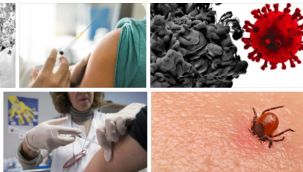 Türkiye'de hem Covid-19 hem de Kırım Kongo...