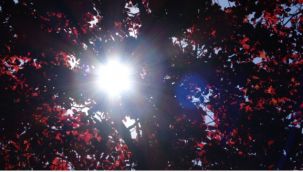 Türkiye son 50 yılın en sıcak mevsimini yaşıyor