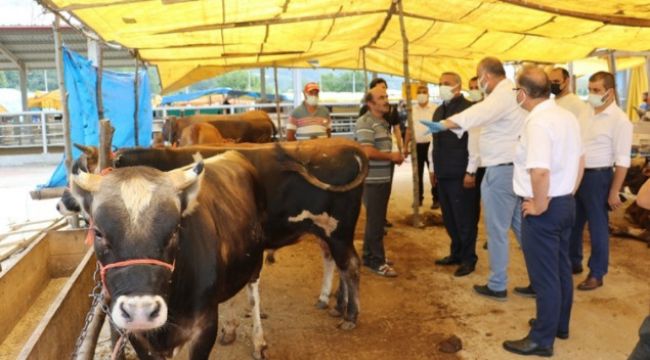 Kurbanlık alacaklara uyarılar