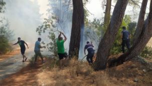 Jandarma Genel Komutanlığı: "Yangın söndürme çalışmalarına 2 bin 630 personel, 339 araç ve 6 helikopterle ile destek veriliyor"