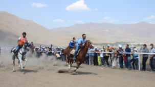 Rahvan at yarışlarına ilgi