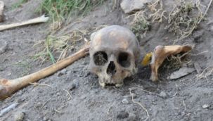 Korkutan görüntü: Her yerden kafatası ve kemikler çıkıyor