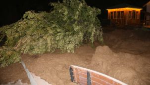 Mevlana Vadisi'nde toprak kayması