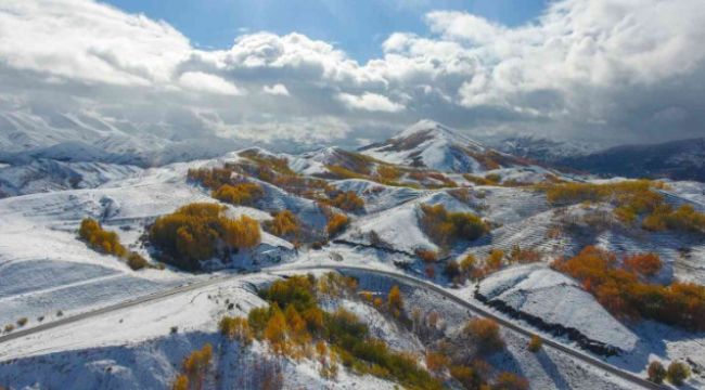 Erzurum ormanlarında kış ve sonbahar