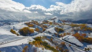 Erzurum ormanlarında kış ve sonbahar