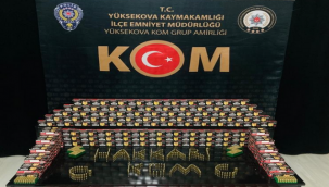 Yüksekova'da adeta cephane ele geçirildi