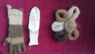 Erzurum Olgunlaşma Enstitüsü'nün Başarısı