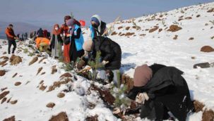 Konaklı Kayak Merkezi bölgesinde binlerce fidan...