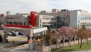 Erzurum 11 ayda 280 marka çıkardı