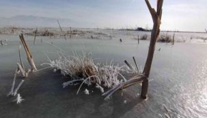 Nehirler ve dereler dondu