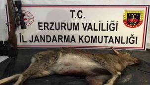 Kaçak avcılar...