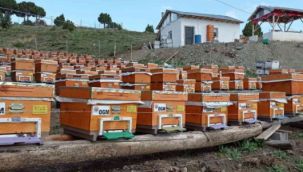 Orman köylülerine 12,3 milyon TL destek