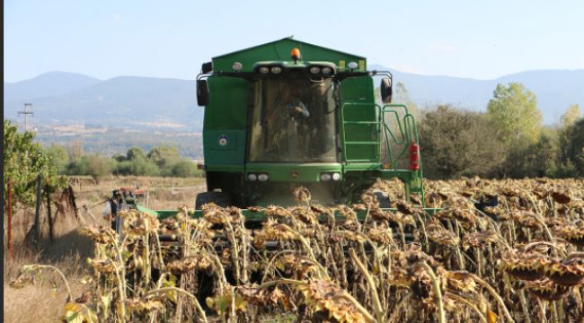 'Uzman Eller Projesi' başvuruları başladı