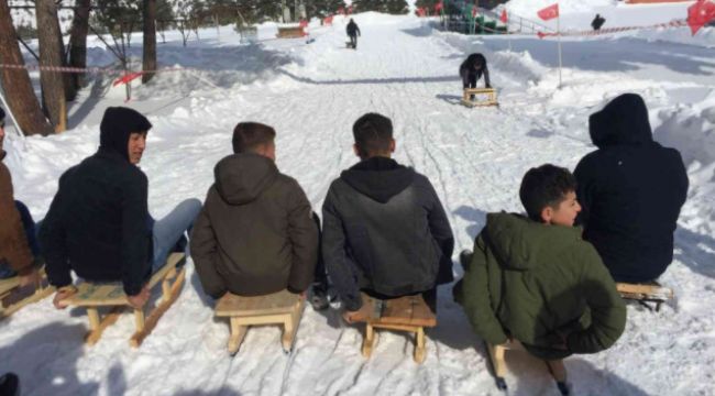 Kızak festivalinde renkli görüntüler