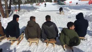 Kızak festivalinde renkli görüntüler