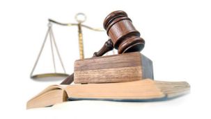 Erzurum Baro Başkanı Göğebakan: "Mesleğimiz tehdit altında"