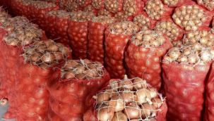 Soğanlar depolarda çürüyor