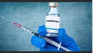 Turkovac, Sinovac'tan