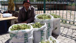 Çaşır'ın kilosu 40 liradan satılıyor