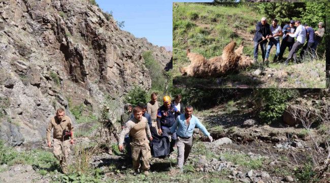 Olur'da ayı saldırısı; Çoban da ayı da öldü